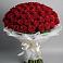 Букет 101 Красная роза Блэк Мэджик в Козуль