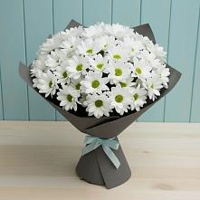 Букет цветов из:  Хризантемы #REPLACE_PRED# Козуль