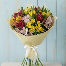Букет цветов из:  Альстромерии в Козуль