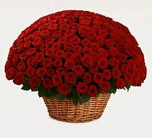 Премиум букет из: Розы в Козуль