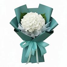 Букет цветов из:  Гортензия в Козуль
